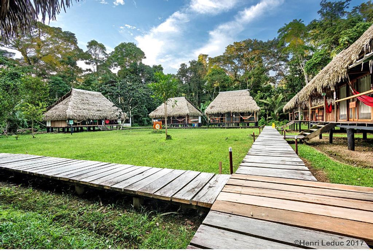 Nicky Amazon Lodge  photo
